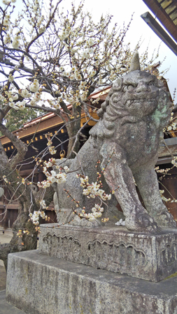 北野天満宮梅の花