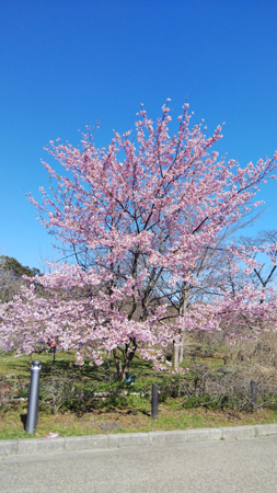 京都府職ブルエン20200312