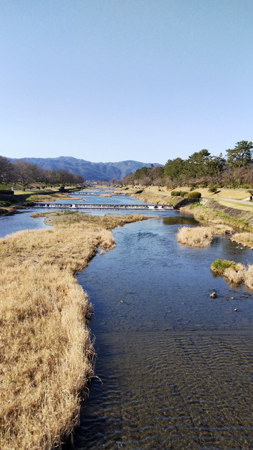 北山大橋から賀茂川