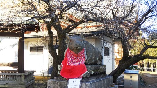 北野天満宮撫で牛