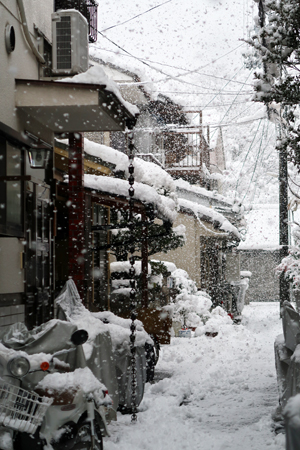 京都大雪20220121