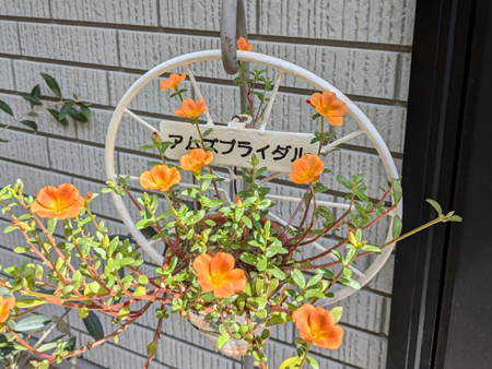 アムズブライダル