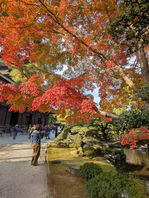 京都紅葉2025