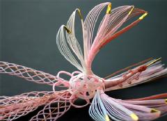 �����u�[�P�i�����j